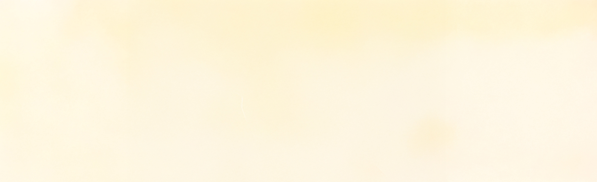 Background image: Micro Bakery Girl